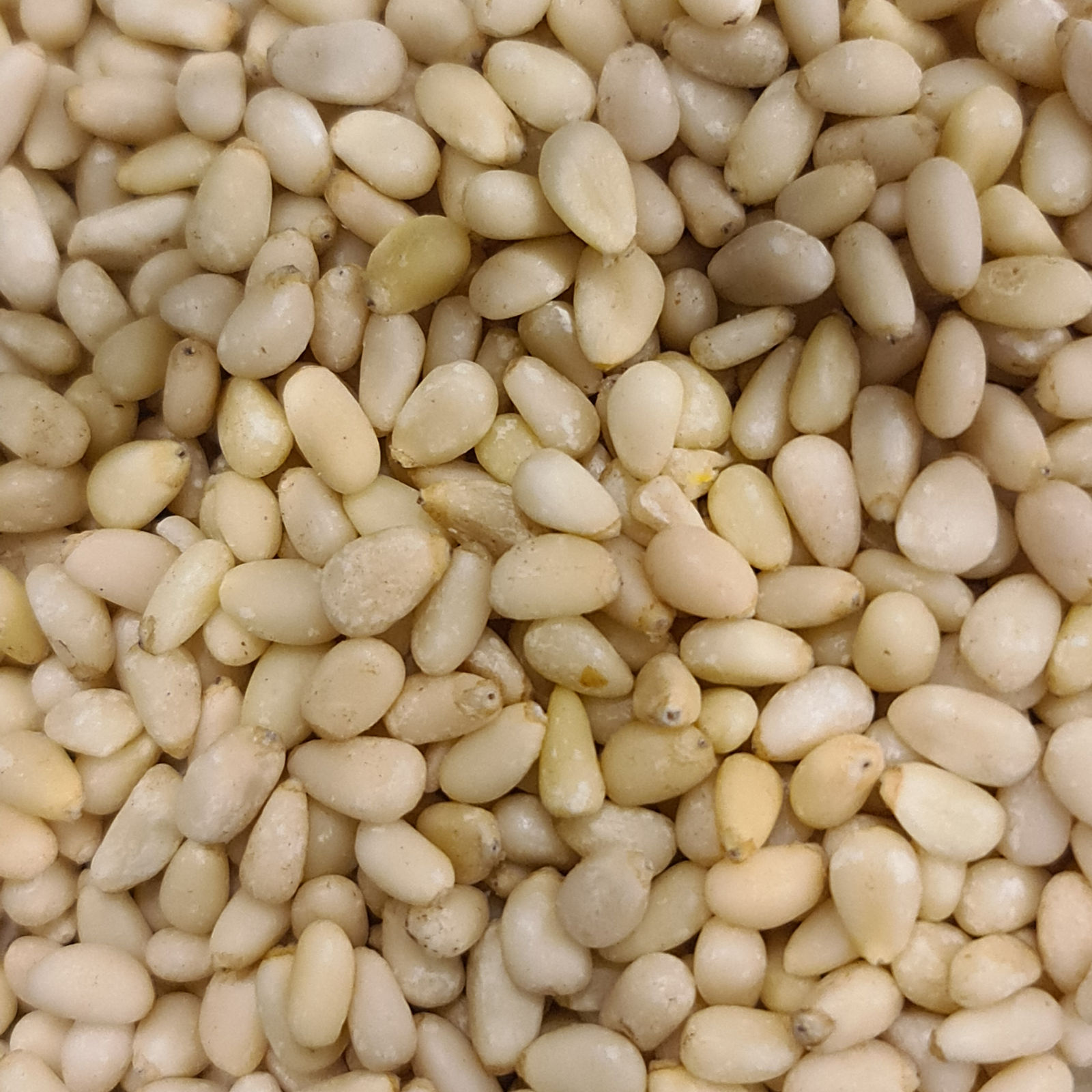 Στιγμιότυπο μπαρ καφέ